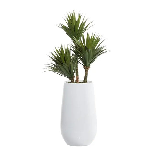 White Fiberglass Contemporary Date Palm Artificial Plant
