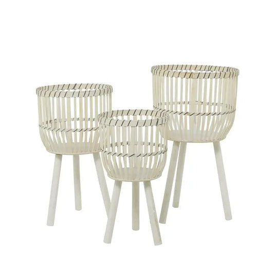 White Bamboo Bohemian
