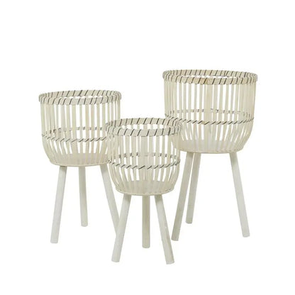 White Bamboo Bohemian